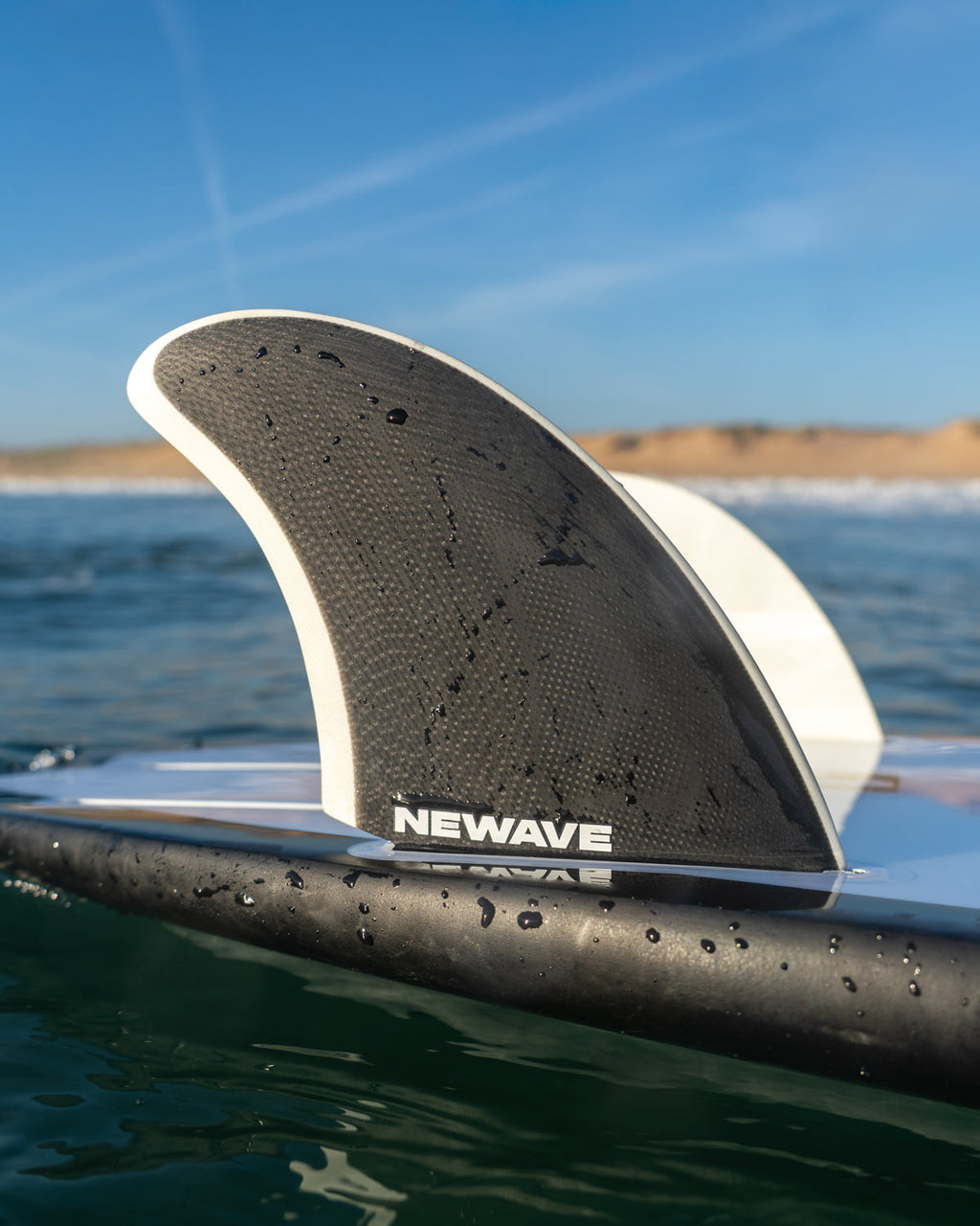 Twin Fins - Black & White