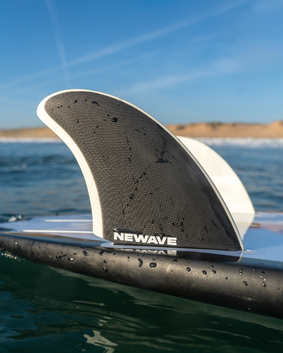 Twin Fins - Black & White