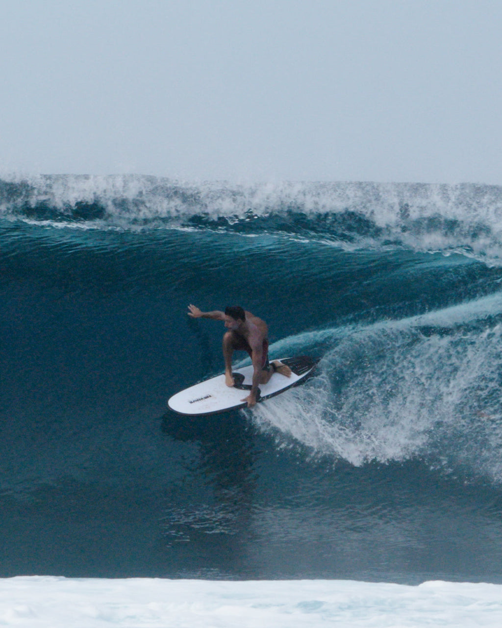 All Round Fish / Longboard + Free Boardbag