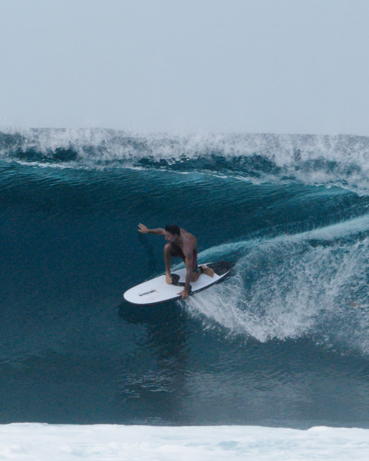 All Round Fish / Longboard + Free Boardbag