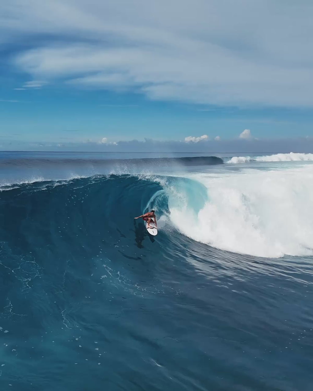 All Round Fish / Mini Malibu + Free Boardbag