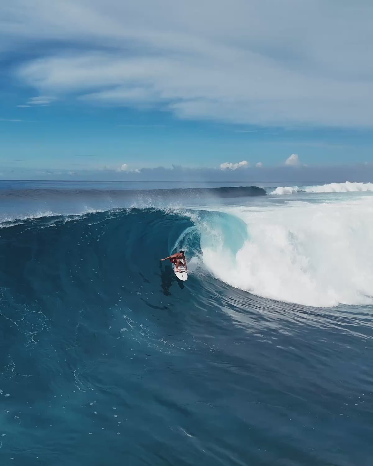 All Round Fish / Mini Malibu + Free Boardbag