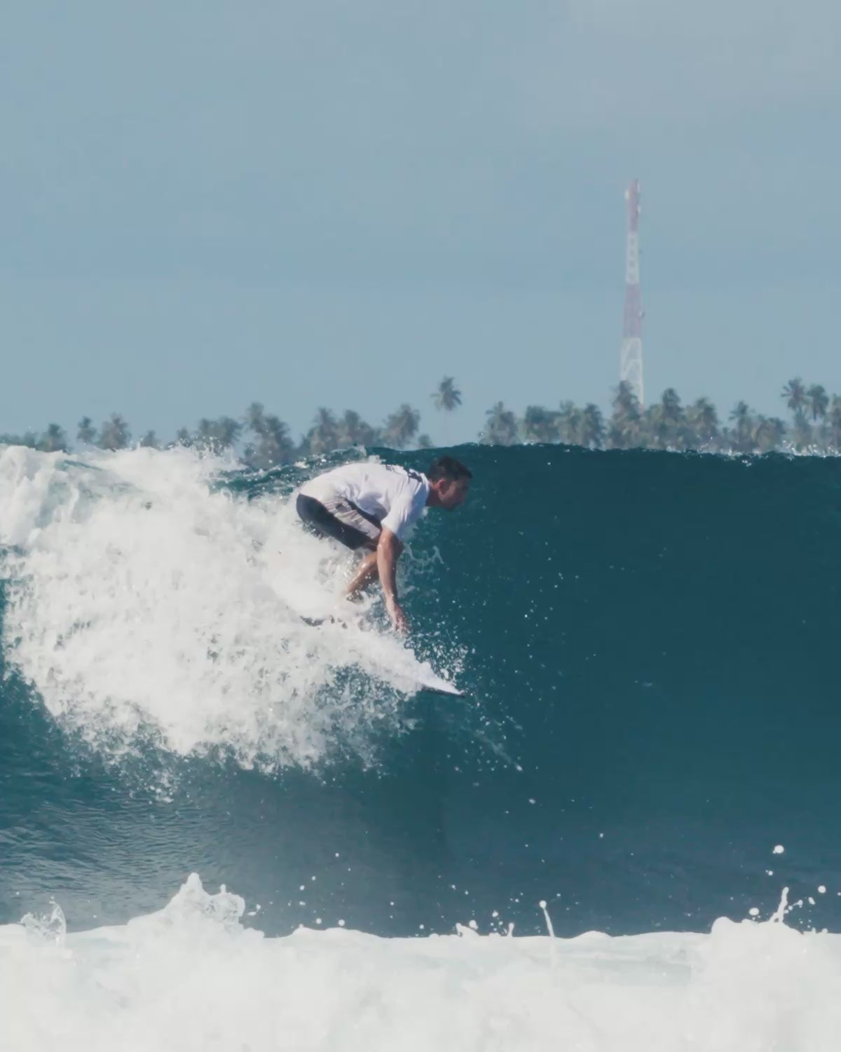 All Round Fish / Longboard + Free Boardbag